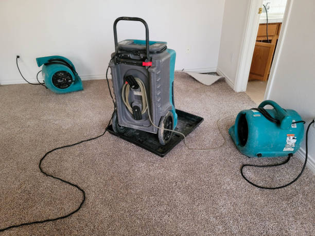 Best Water damage restoration near me  in Brimfield, OH