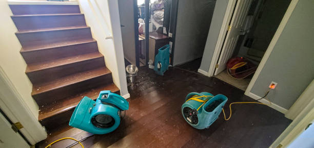  Brimfield, OH Water damage restoration Pros