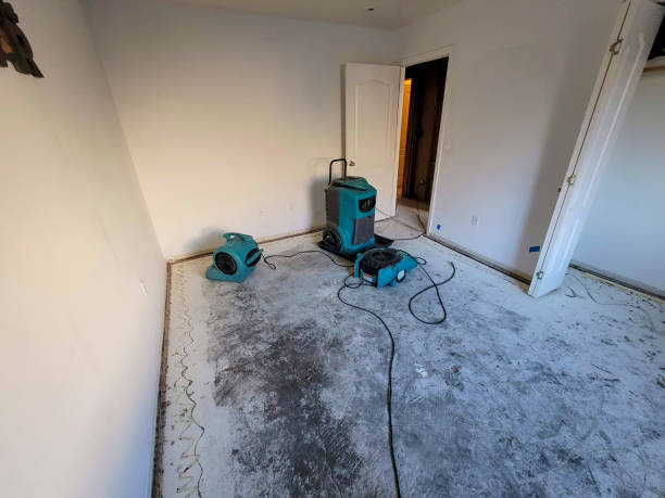  Brimfield, OH Water damage restoration Pros