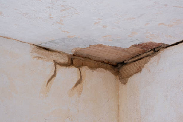 Best Water damage cleanup near me  in Brimfield, OH